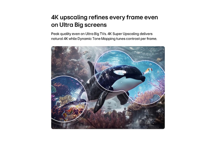 LG QNED evo AI QNED75 Mini LED with 4K Super Upscaling and Dynamic Tone Mapping shows an underwater scene of an orca swimming, as AI recognizes and upscales every frame to 4K resolution.